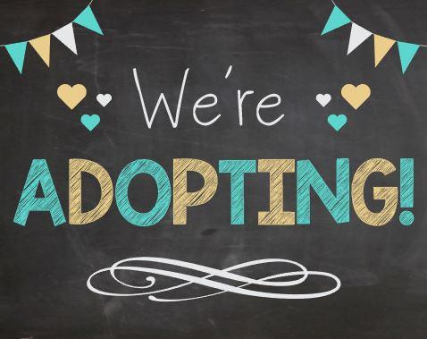 2183_24c6695a-ed4e-492e-9f24-fbf3e31fc41d_1024x1024